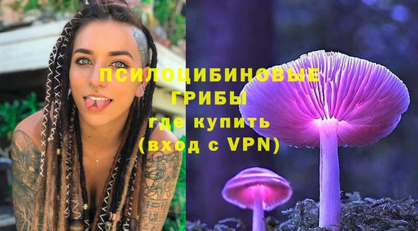 ECSTASY Алексеевка