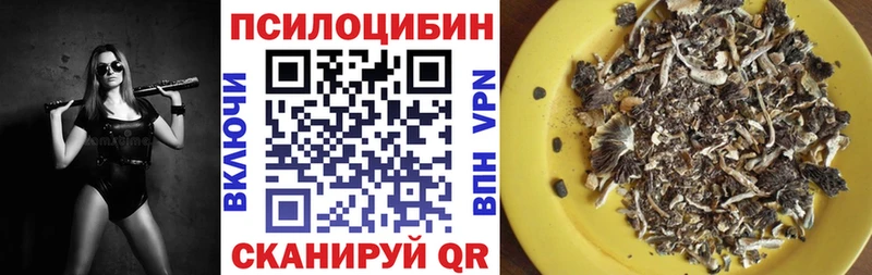 kraken вход  Киров  Галлюциногенные грибы Psilocybine cubensis  где купить наркоту 