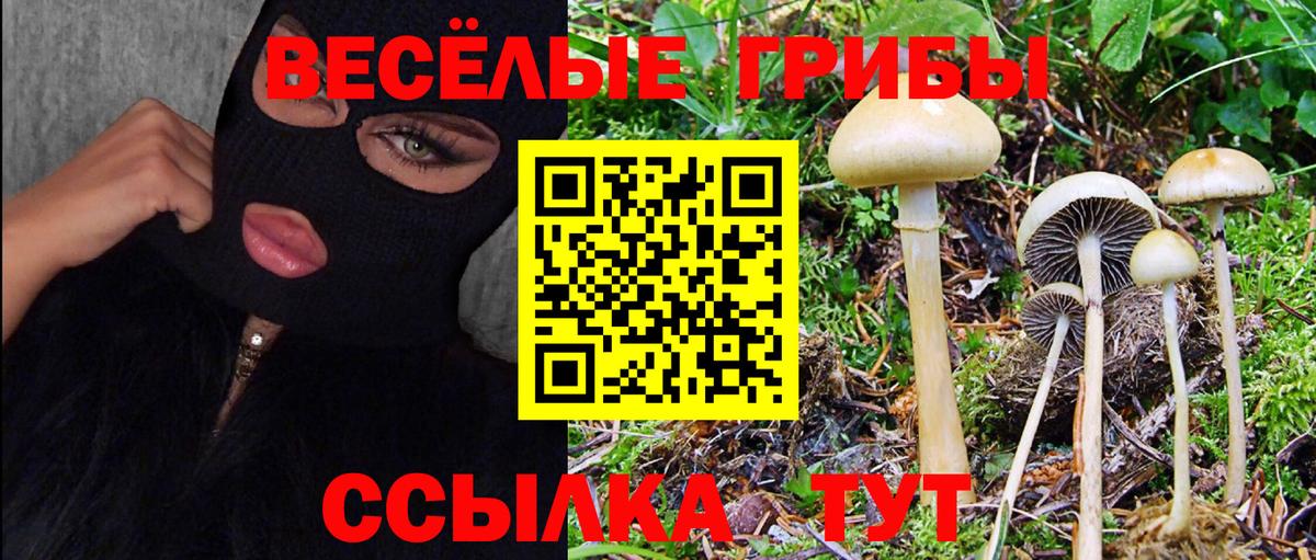 Галлюциногенные грибы мухоморы Киров