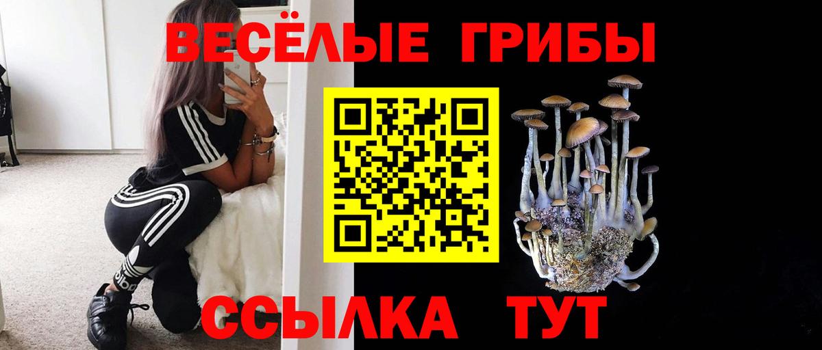 Псилоцибиновые грибы Cubensis  Вход с VPN  Киров  Галлюциногенные грибы прущие грибы 