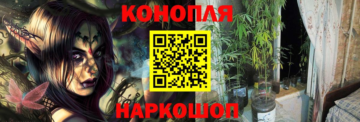 Киров  МАРИХУАНА ГИДРОПОН  МАРИХУАНА семена  Вход с VPN  Конопля план  МАРИХУАНА индика 
